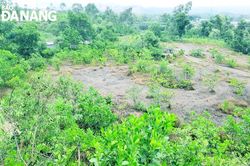 Xanh lại những vùng đất mỏ