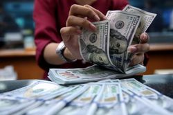 Tỷ giá hôm nay ngày 7/7: USD trung tâm tăng tới 66 đồng kể từ đầu tuần