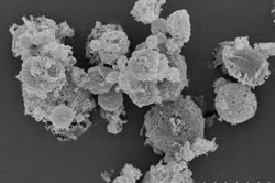Hy vọng mới: Thuốc kháng virus dạng hít chống lại COVID-19 và bệnh cúm