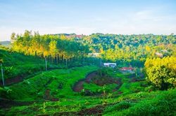 Điểm du lịch trải nghiệm - Vườn sinh thái Đồi Hoa Vàng