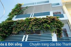 Khi tường nhà có hoa...