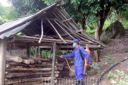 Kiểm soát, ngăn chặn dịch tả lợn châu Phi tái phát
