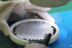 Trung Quốc điều tra các nhà phân phối chip vì nghi ngờ 'thổi giá'