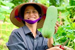 Nữ giám đốc rời TP.HCM, về quê trồng rau trong dịch
