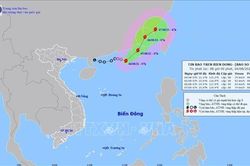 Tin bão khẩn cấp: Cơn bão số 4