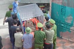 Hình ảnh chuồng sắt nhốt 17 con hổ như nuôi lợn trong nhà dân ở Nghệ An