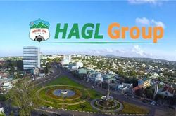 Hoàng Anh Gia Lai muốn giảm lỗ lũy kế bằng thặng dư vốn