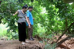 Cần sớm khắc phục hệ thống cống thoát nước tại Km153 - QL12