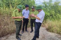 Kinh tế Khoa học - công nghệ Lắp đặt thí điểm hệ thống camera cảnh báo sớm cháy rừng