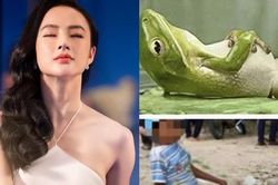Angela Phương Trinh liên tục gây tranh cãi vì chia sẻ những thông tin phản khoa học