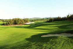Tạm đình chỉ công tác Phó Cục trưởng Cục Thuế đi chơi golf trong lúc giãn cách xã hội