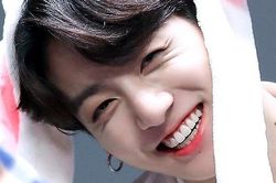 Phát hờn với cách Jungkook BTS vuốt ve âu yếm động vật