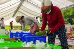 Hà Nội: Nhiều điểm bán hàng lưu động được triển khai phục vụ hàng hóa thiết yếu cho người dân