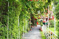 Vợ quyết ly hôn vì tôi không bỏ thuốc lá