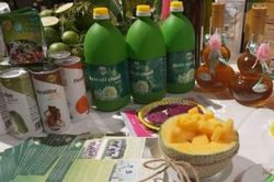 Gỡ khó cho nông sản, thủy sản Nam Bộ và Tây Nguyên