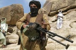 Thêm quan chức Afghanistan bị Taliban ám sát