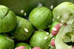 Việt Nam có 1 loại dưa nấu canh ngon bá cháy: Cứ tưởng quả gì lạ lắm, ngờ đâu ai cũng từng ăn ít nhất 1 lần trong đời