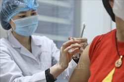 Ngày 7-8, Bộ Y tế họp thẩm định vắc-xin Nano Covax