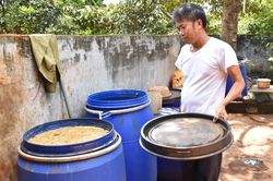 Canh tác hữu cơ từ chế phẩm IMO: Nhiều lợi ích