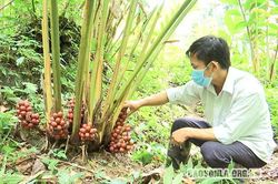 Bí thư Chi bộ bản năng động, tận tâm