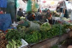 Sớm mở lại chợ đầu mối, sẵn sàng địa điểm để trung chuyển hàng hóa