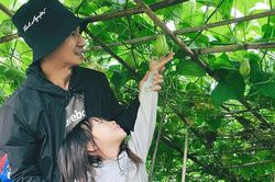 Cuộc sống ở trang trại của gia đình Lý Hải