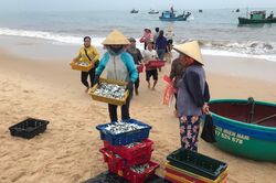 Quảng Bình: Nhiều đối tượng lao động tự do được hỗ trợ 1,5 triệu/người