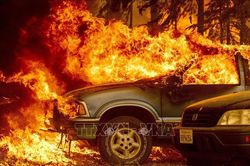 Cháy rừng ở California khiến nhiều người mất tích