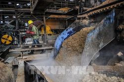 Khung pháp lý cho các doanh nghiệp vừa và nhỏ ở Cuba