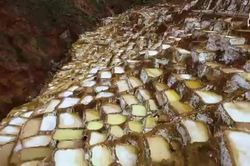 Độc đáo ruộng muối bậc thang nghìn năm tuổi ở Peru