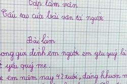 Thêm bài văn tả mẹ 'bất hủ' của học sinh tiểu học