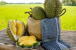 Sầu riêng Việt Nam bán đắt hàng tại Úc