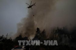 Hàng nghìn người phải sơ tán khi cháy rừng tàn phá đảo Evia vượt tầm kiểm soát