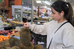 Sầu riêng Ri6 của Việt Nam 'cháy hàng' tại Australia