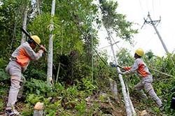 Công ty Điện lực Lạng Sơn: Chủ động đảm bảo an toàn lưới điện cao ápTin khácNỗ lực vì nạn nhân chất độc da camTruyền nhiệt huyết giữ gìn di sản then cho thế hệ trẻ