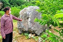 Hữu Lũng: Khai thác đá ảnh hưởng đến vùng trồng naTin khácNỗ lực vì nạn nhân chất độc da camTruyền nhiệt huyết giữ gìn di sản then cho thế hệ trẻ
