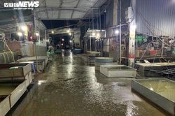 Chợ cá lớn nhất Hà Nội hoang vắng, tiểu thương nghỉ quá nửa vì COVID-19