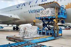 Vận chuyển miễn phí thêm hơn 200.000 bộ xét nghiệm nhanh do Đức trao tặng