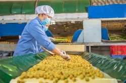 Ông Trương Gia Bình: 'Việt Nam cần có doanh nghiệp xanh'