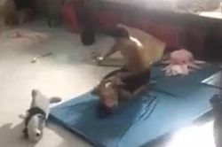 Nguyên nhân bé trai bị 'bố dượng hờ' đánh đập dã man