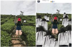 Nhờ dân mạng sửa ảnh ở đồi chè, cô gái ôm mặt khóc ròng