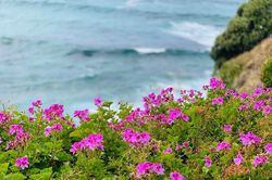 Mẹ chồng khó chịu với tôi những điều vô lý
