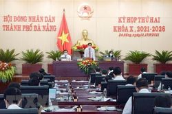 Nếu 4 ngày tới dịch không giảm, Đà Nẵng thực hiện 'Ai ở đâu thì ở đó'