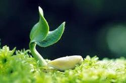 Học cách điềm tĩnh để cán đích tốt hơn