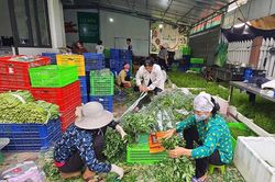 Gỡ khó tiêu thụ nông sản