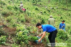 Thi đua '65 ngày cao điểm' chào mừng Ngày truyền thống Hội LHTN Việt Nam