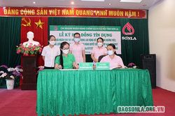 Giải ngân cho 5 doanh nghiệp, đơn vị vay vốn theo Nghị quyết 68 của Chính phủ