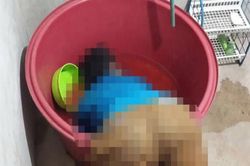 Thương tâm bé 1 tuổi đuối nước tử vong ngay trong nhà: Một phút bất cẩn, ân hận cả đời