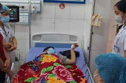 Cứu sống bệnh nhân sốc phản vệ do ong đốt tại trạm y tế xã