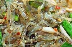 Kinh dị món ăn 'tép nhảy' trong miệng ở Thái Lan